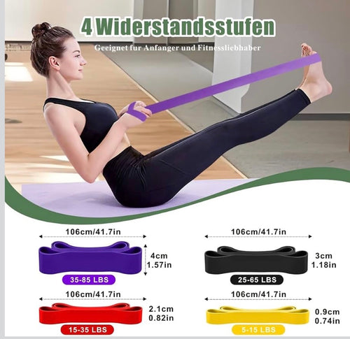 Bandes musculaire