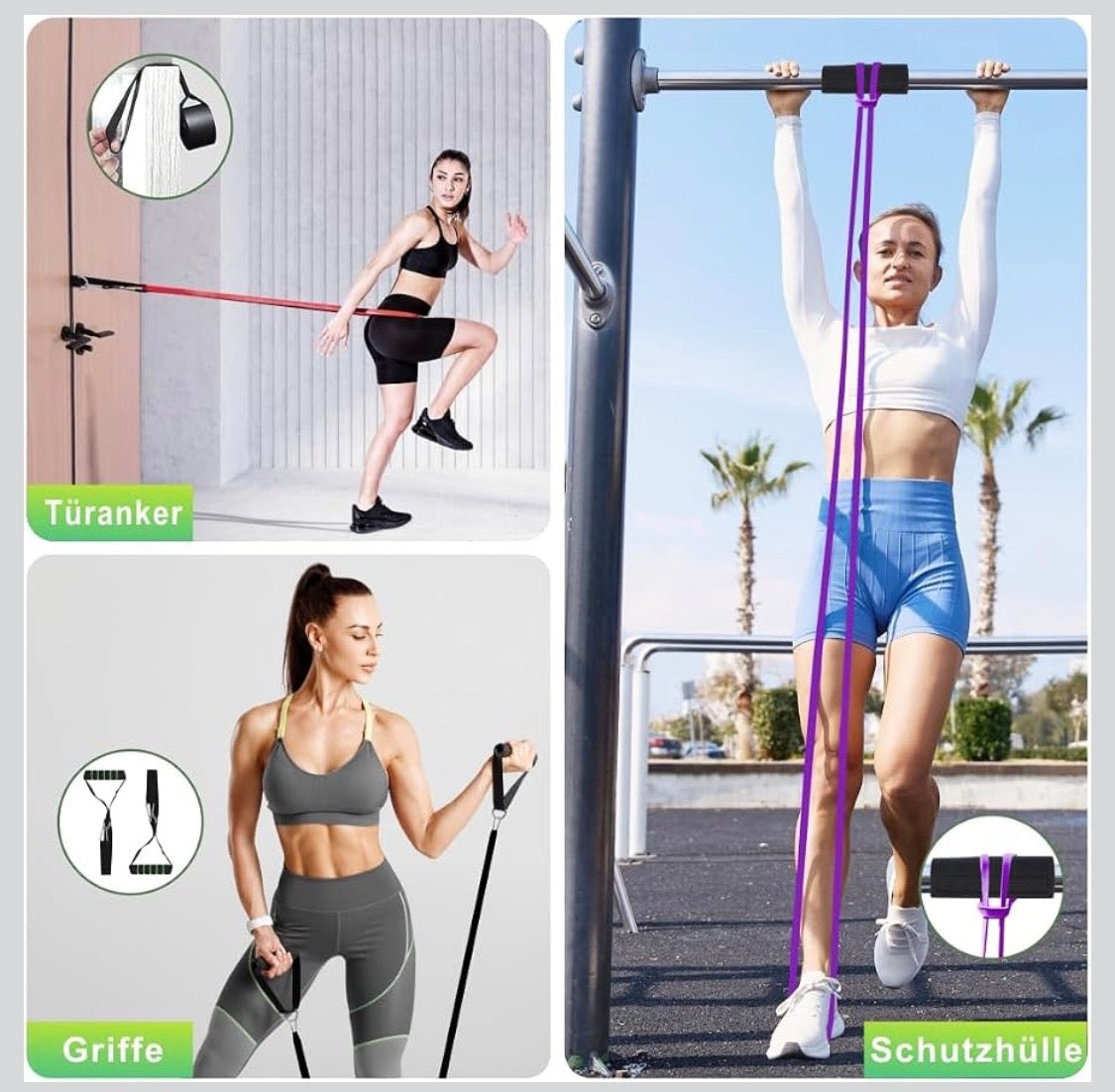 Bandes musculaire