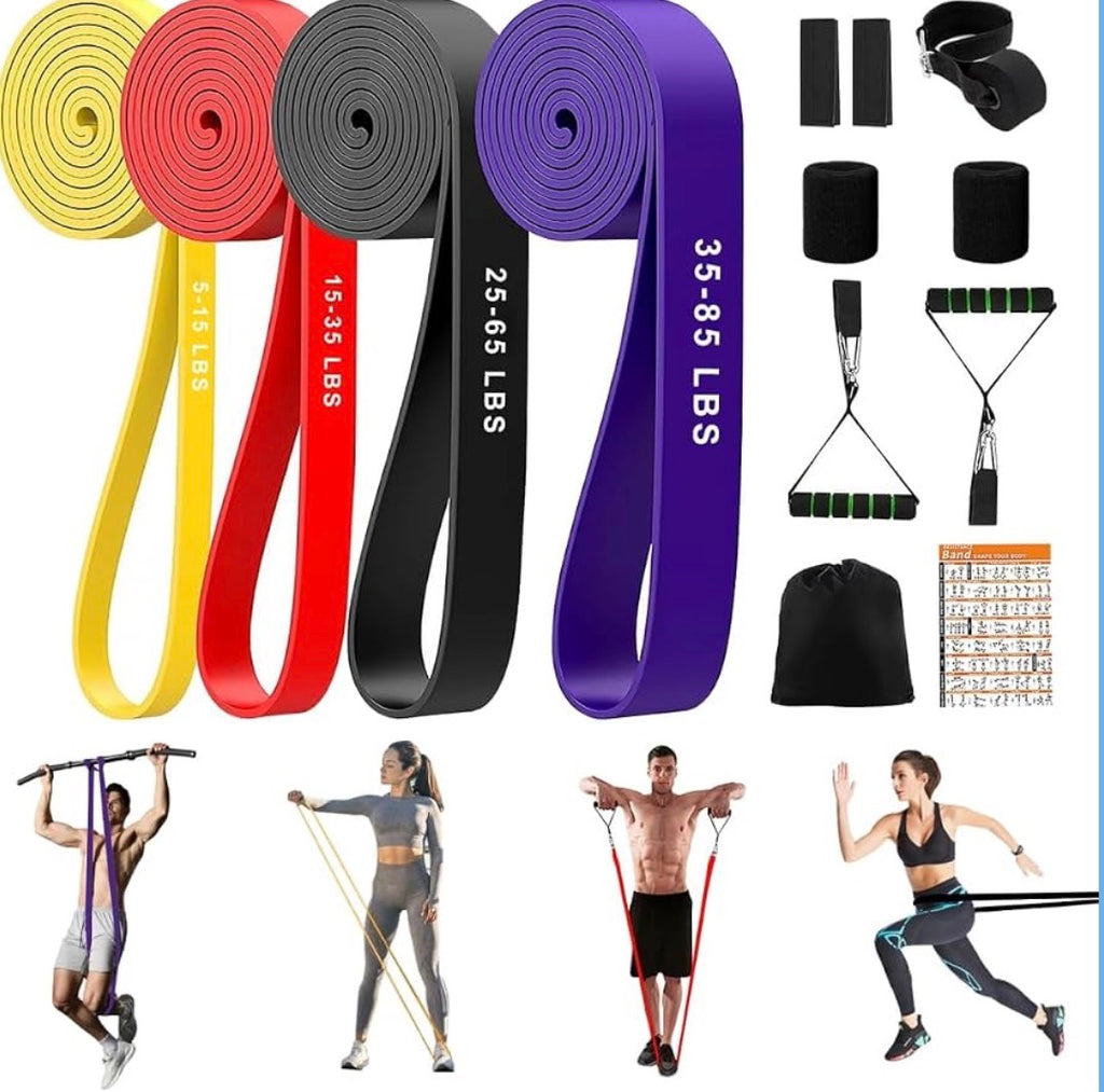 Bandes musculaire